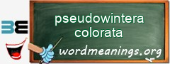 WordMeaning blackboard for pseudowintera colorata